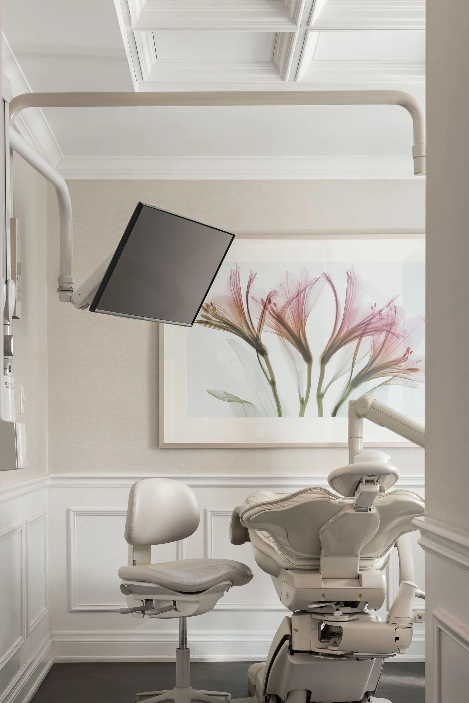 Century Stone Dental, Hamilton: operatory floral art.