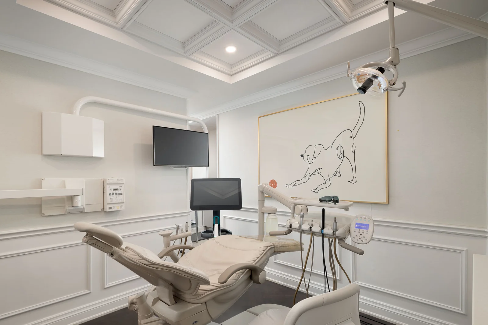Century Stone Dental, Hamilton: operatory line art.
