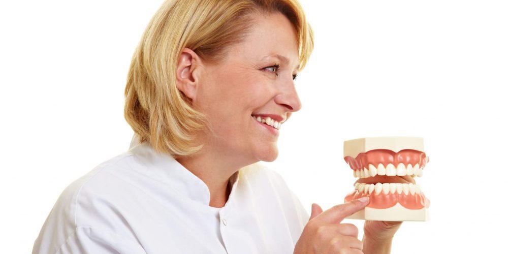 Confident Hamilton dentist pointing at model teeth for dental implant